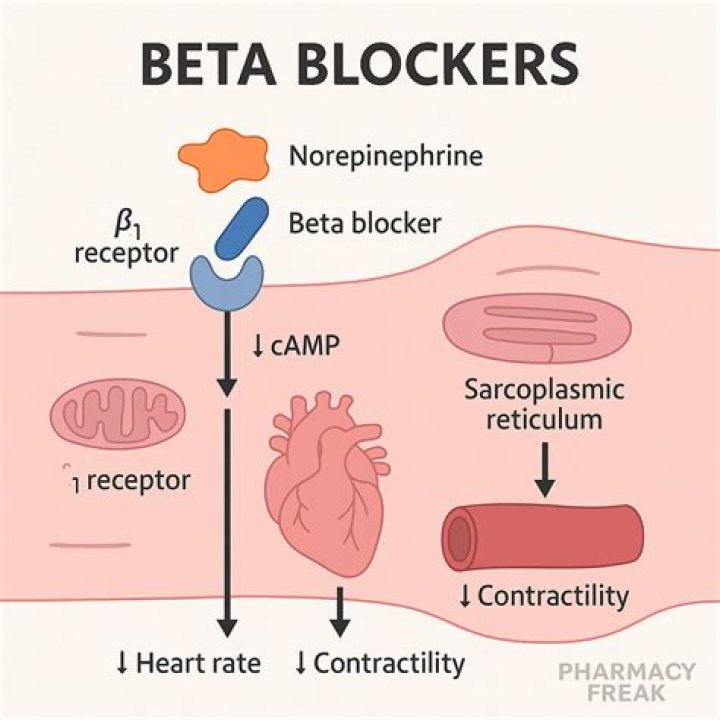 Are beta blockers chronotropic?