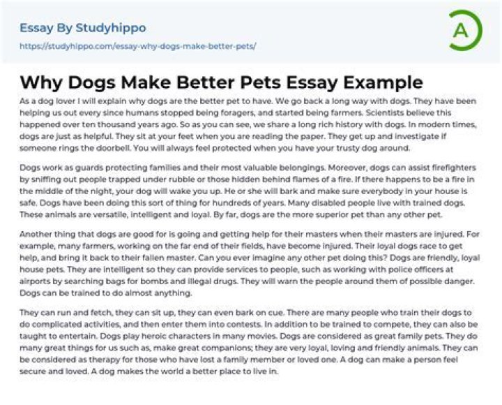 Are pets better than humans?