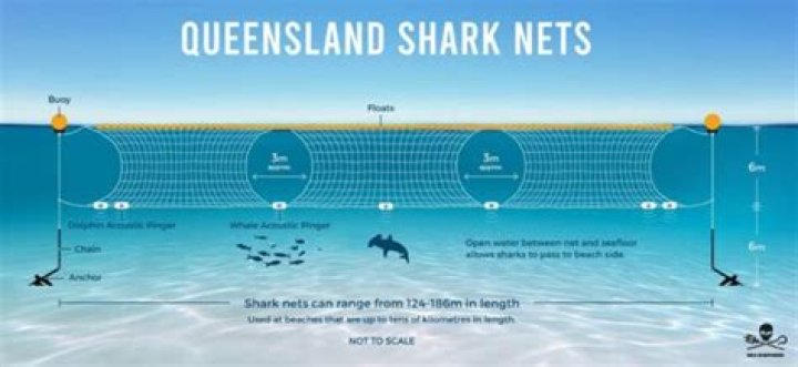 Are there shark nets in Durban?