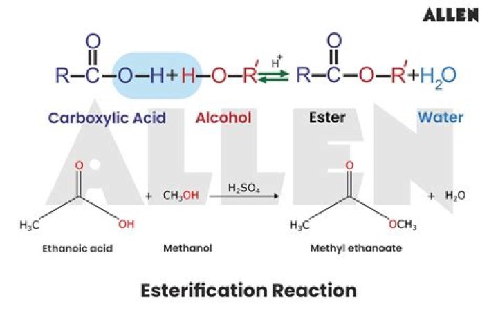 Can acetic acid be used in esterification?