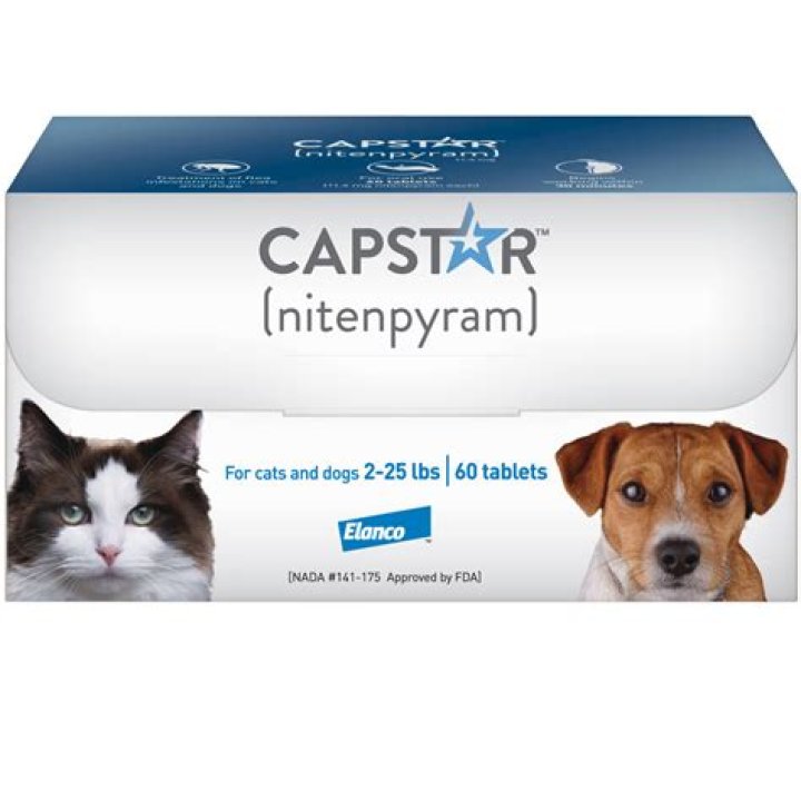 Can I give Capstar to a kitten?