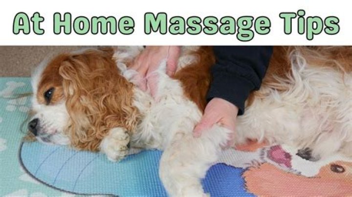 Can I massage my under eye?