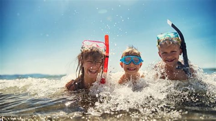 Can rats swim in the ocean?