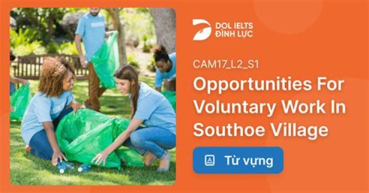 Can you do voluntary work in schools?