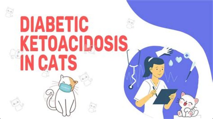 Can you reverse ketoacidosis in cats?