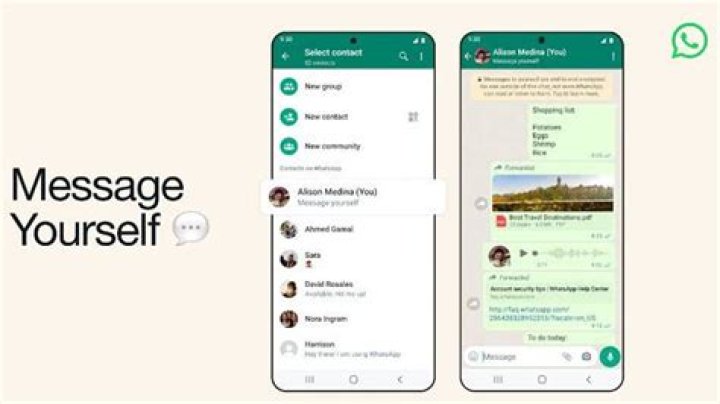 Can you search videos on WhatsApp?