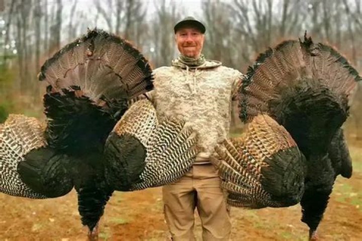 Can you turkey hunt in Idaho?