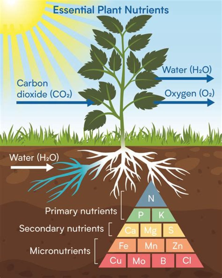 Can you use coco nutrients in soil?