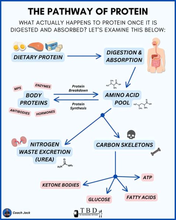 How can I add protein to my vegetables?