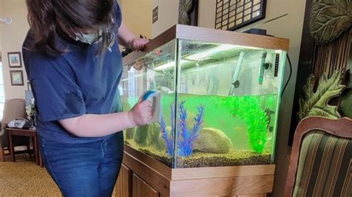 How can I make my fish tank look good in a room?