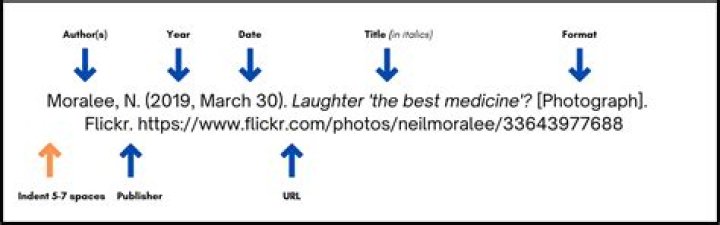How do I cite an article from TFEU?