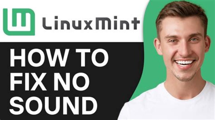 How do I fix no sound in Linux Mint?