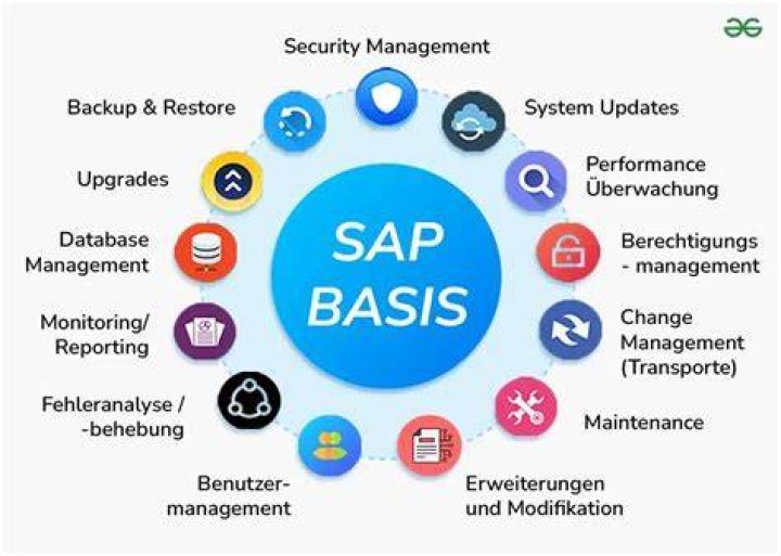 How do I get a job in SAP basis?
