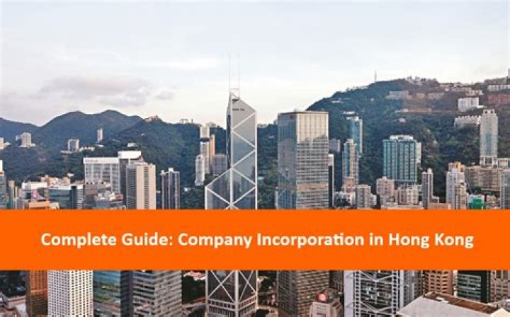 How do I search a company in Hong Kong?