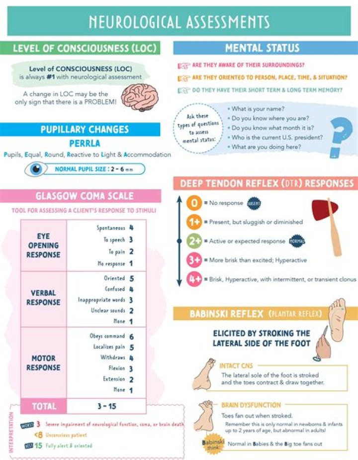 How do you assess neurological reflexes?