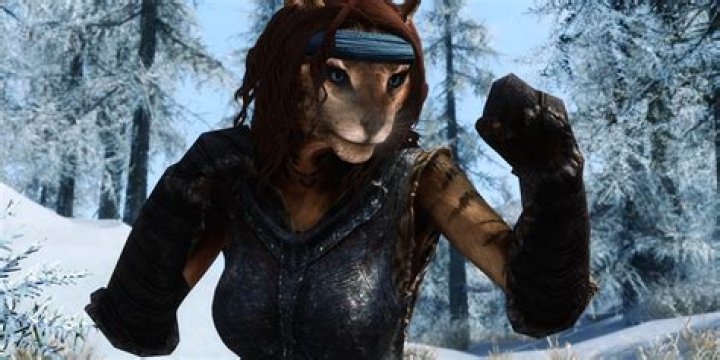 How do you get mannequins in Skyrim?