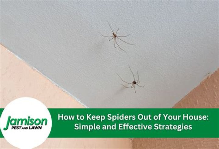 How do you keep spiders from building webs on your porch?