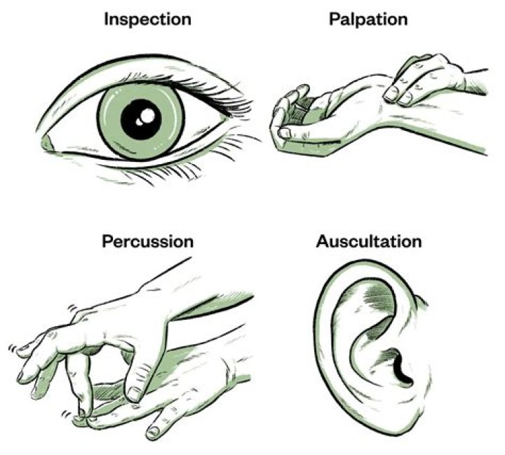 How do you perform a liver palpation?