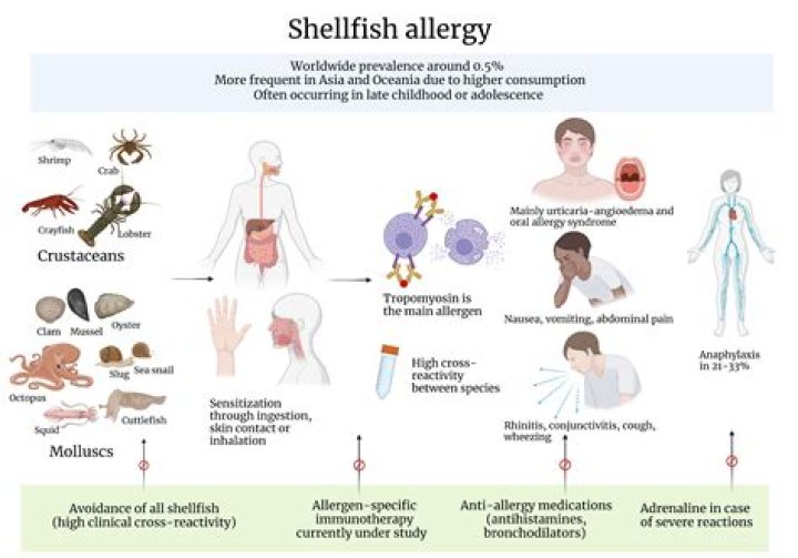 How do you treat an allergic reaction to fish?
