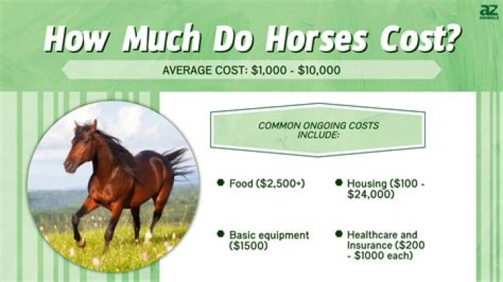 How expensive is it to microchip a horse?