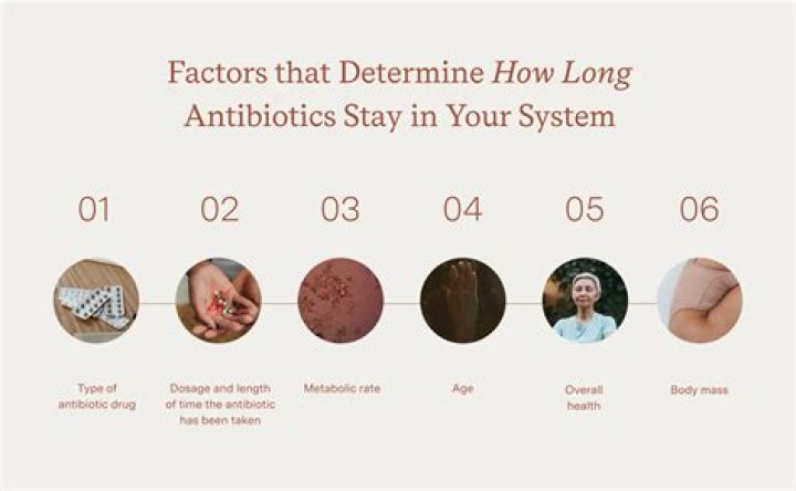 How long do you take antibiotics for meningitis?