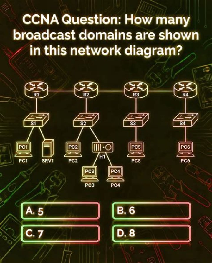 How many broadcast networks are there?