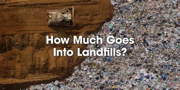 How many disposable diapers end up in landfills?