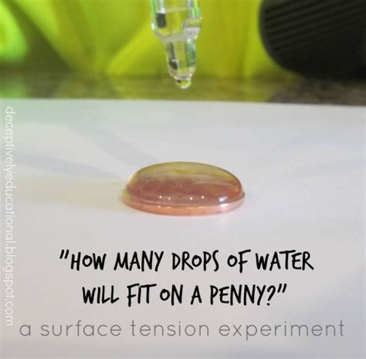 How many drops of water can fit on a penny scientific method?