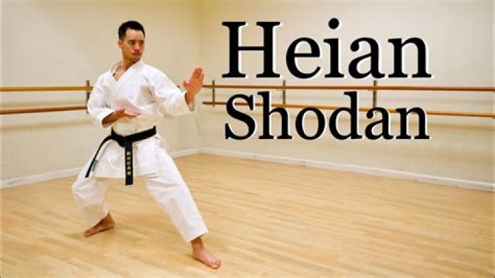 How many katas does Shito Ryu have?
