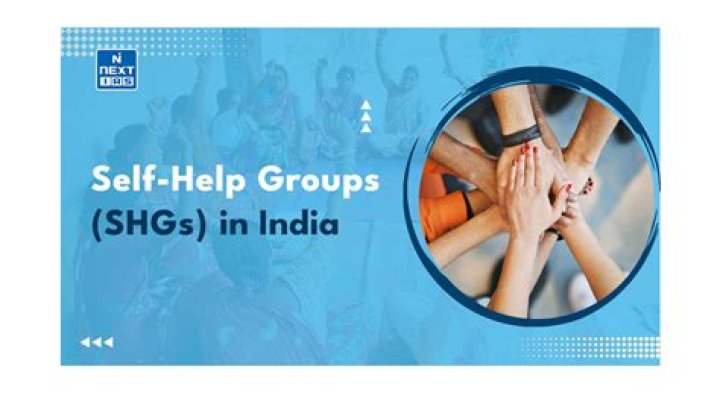 How many self help groups are there in India?