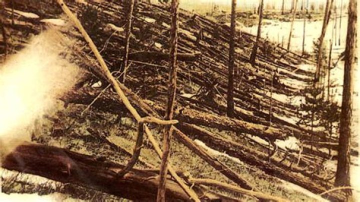 How many trees were destroyed in Tunguska?