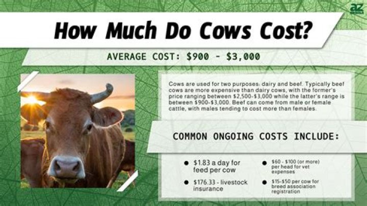 How much does Farm Fresh to you cost?