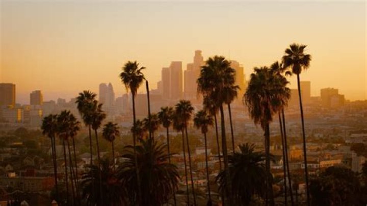 How often does Los Angeles City Council meet?