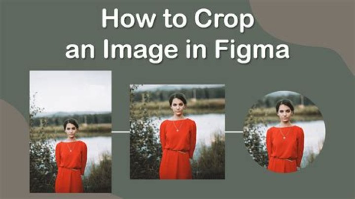 How to crop image in Cacoo?