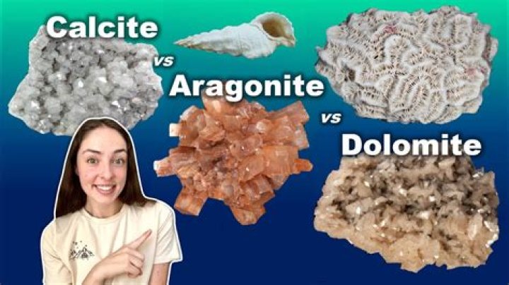 Is aragonite more susceptible to dissolution than calcite?