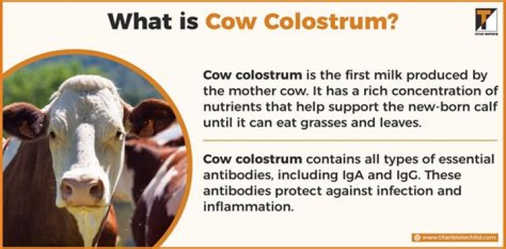 Is cow colostrum good for humans?