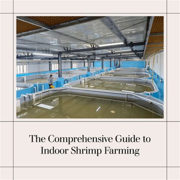Is indoor shrimp farming profitable?