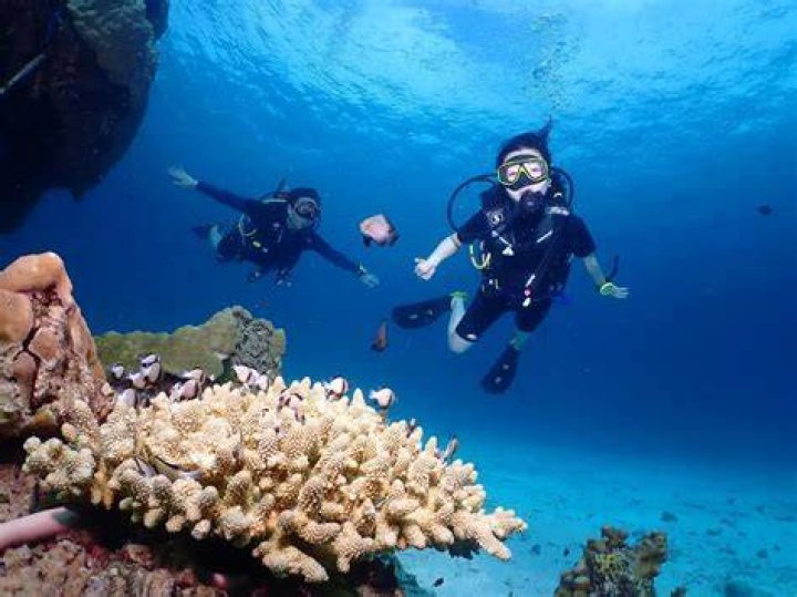 Is Key West good for scuba diving?