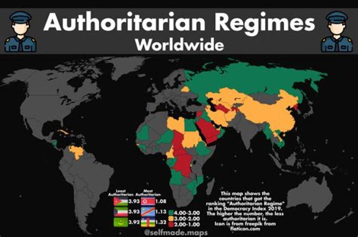 What are authoritarian countries?