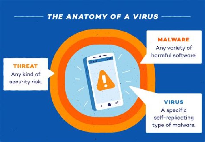 What are common phone viruses?