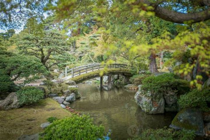 What are Japanese Garden Bridges called?