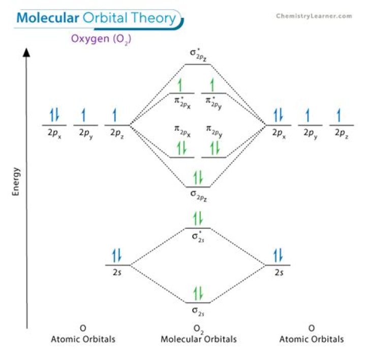 What are molecular orbitals and atomic orbitals?