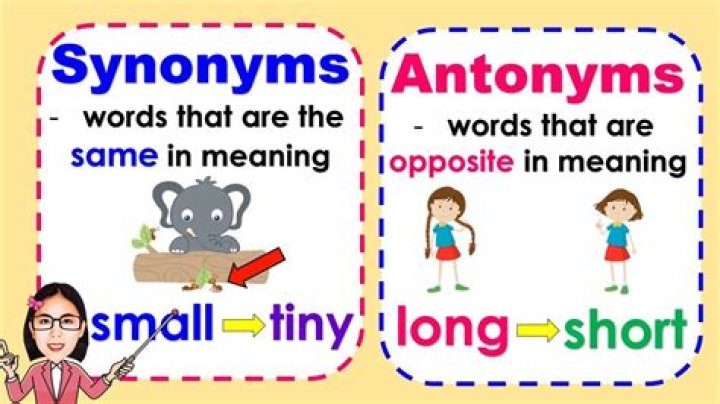 What are the example of antonyms analogy?