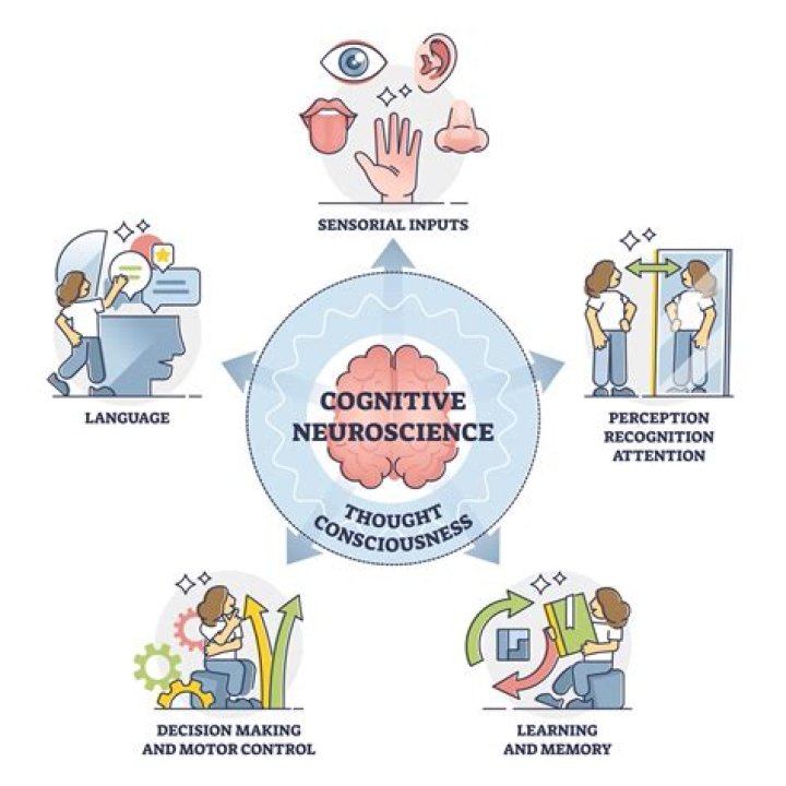 What are the latest findings in neuroscience?