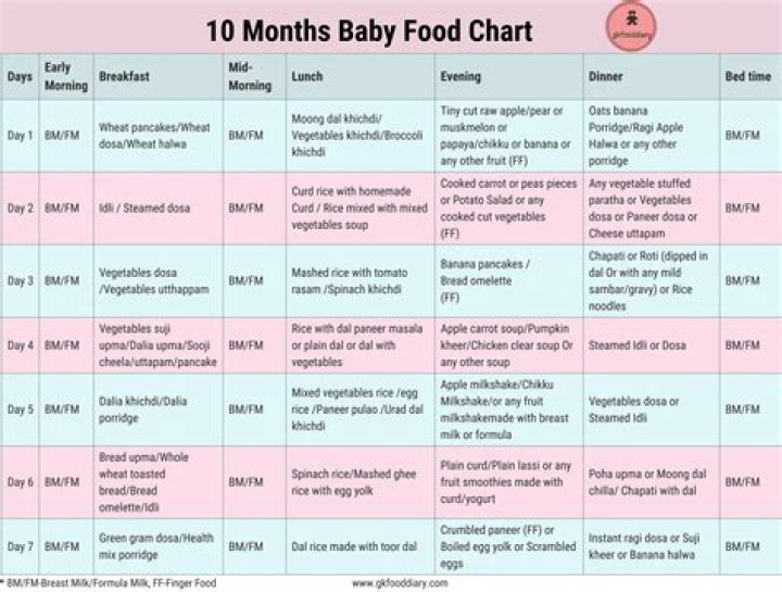 What can I feed my 10 month old Indian baby?