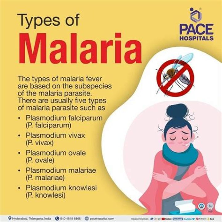 What causes malignant tertian malaria?