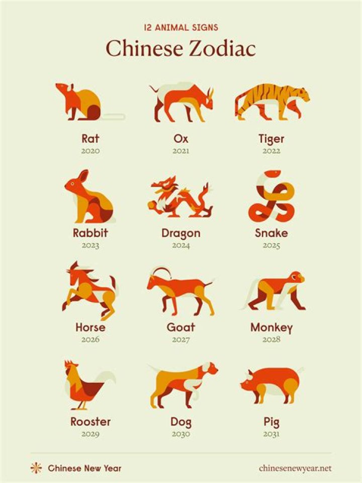 What do Chinese kids like to do?