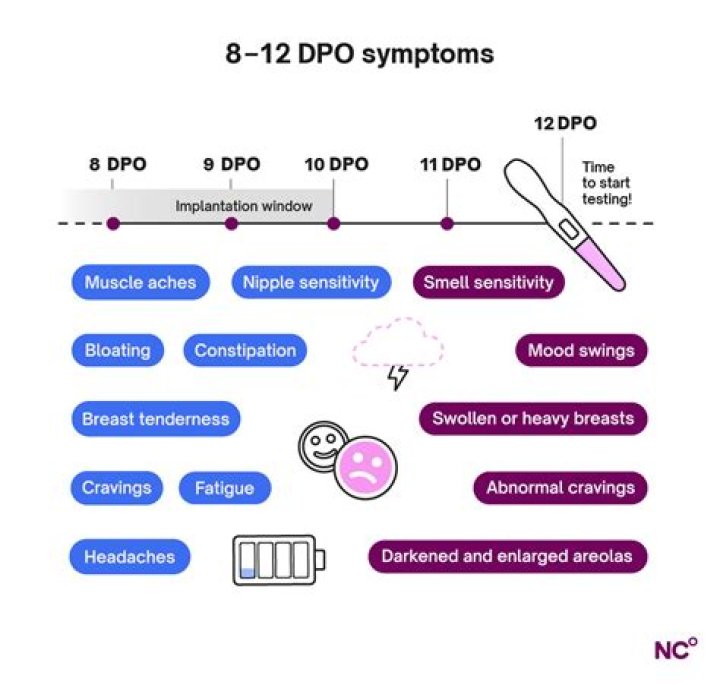 What does BFP 23 DPO mean?