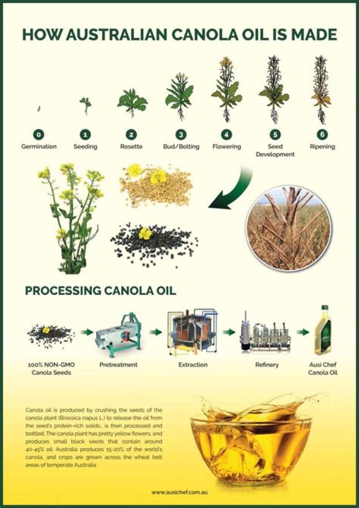 What elements are in canola oil?