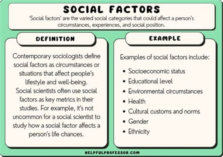 What factors influence social norms?
